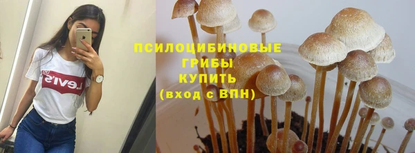 стаф Алзамай