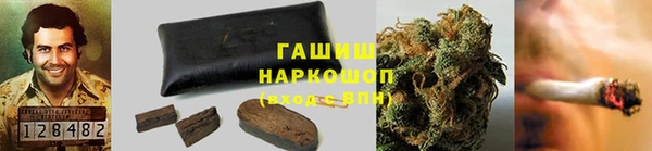 стаф Алзамай