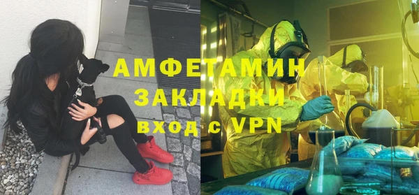 стаф Алзамай