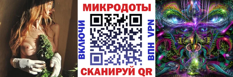 Галлюциногенные грибы Psilocybine cubensis  купить   Ленинск-Кузнецкий 
